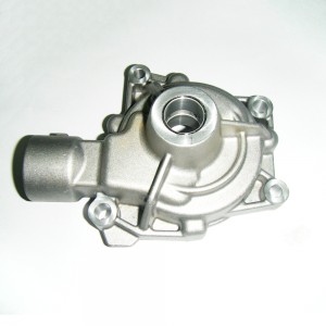 Cast and Forged customized cast water pump housing or body pump casting
