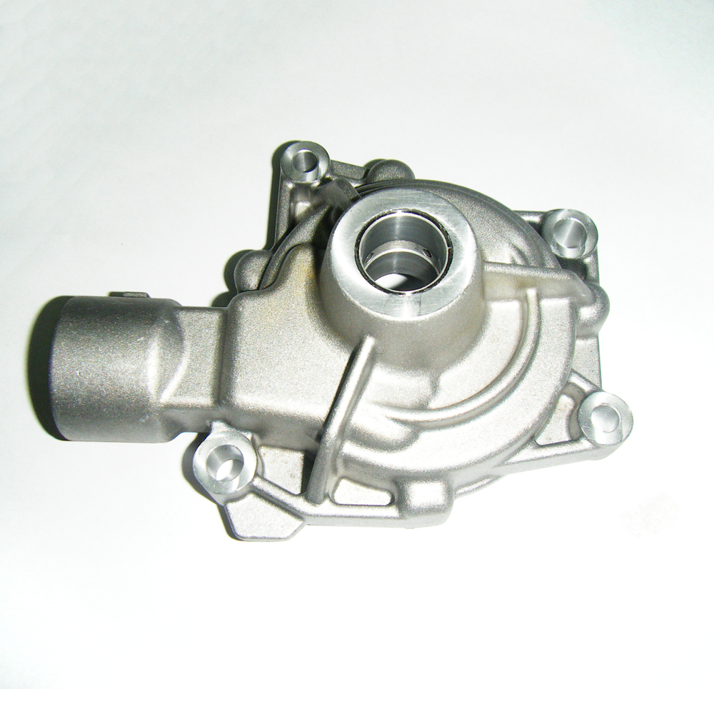China Factory for Aluminium Die Castin Parts - Cast and Forged customized cast water pump housing or body pump casting – Haihong