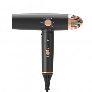 LS-082A Professional Brushless Hair Dryer Negative Ion Hot Cold Air Blow Dryer Intelligent BLDC Hairdryer 3 Speed ​​1600W