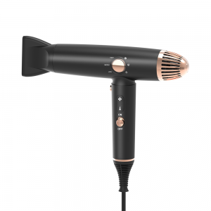 LS-082A Secador de cabelo profissional sem escova Íon negativo Ar quente frio Secador de cabelo BLDC inteligente 3 velocidades 1600 W
