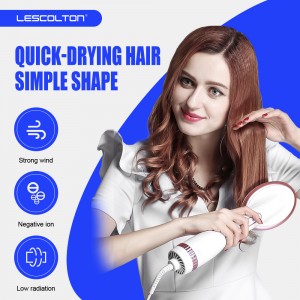 LS-019 Onic Function Hot Air brush Hair Dryer One Step Dryer Three Setting 360S wivel Power Cored