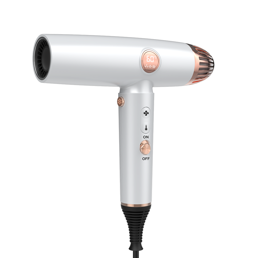 LS-082B Hair Salon Blow Hair Dryer With Digital Display Negative Ion Hair Dryer Featured Image