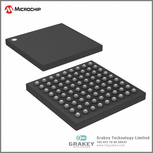 Microchip AGLN060V2-CSG81I