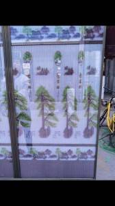 Polyester printed pleated mesh plisse insect screen for window screen and door