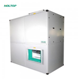 Cheapest Price Single Room Heat Recovery Ventilator - Industrial D Series Floor Type Energy Recovery Ventilators – Holtop