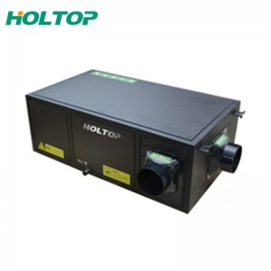 Chinese wholesale Roof Air Vent System - Fresh Air Dehumidification Systems – Holtop