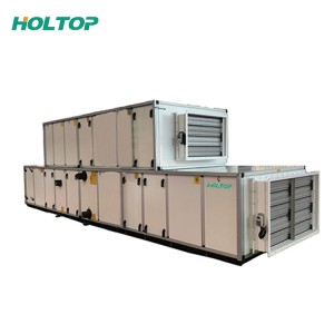 Europe style for Air Aeration Valve - DX Coil Air Handling Units AHU – Holtop
