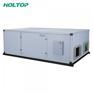 Europe style for Heat Pump Ducting - Commercial D Series Energy Recovery Ventilators – Holtop