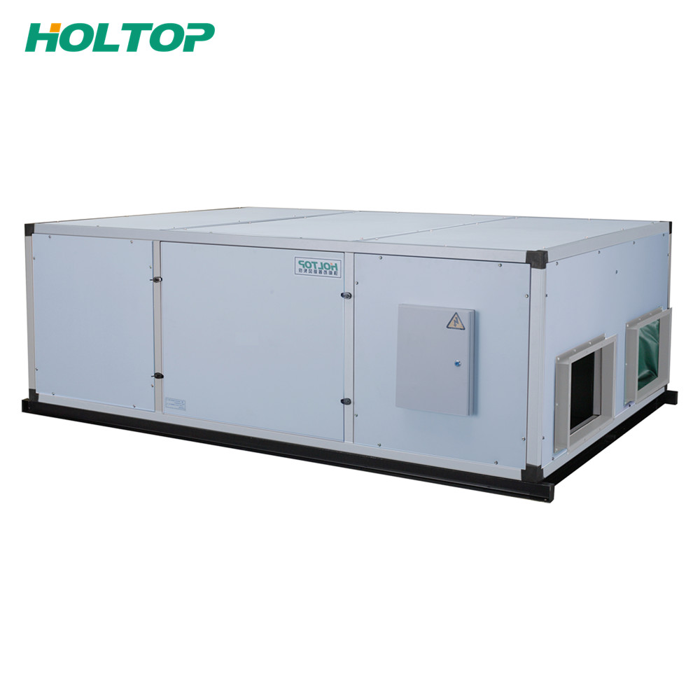 OEM Factory for Incubator Fan Motor - Commercial D Series Energy Recovery Ventilators – Holtop
