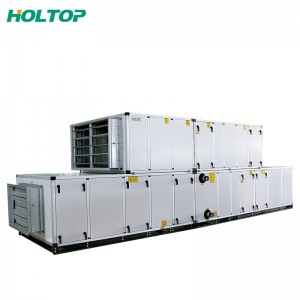 Competitive Price for Grille Ventilation - DX Coil Air Handling Units AHU – Holtop