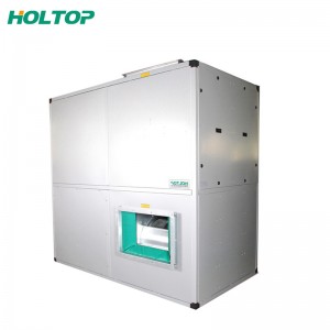 Manufacturer of Air To Air Recuperator - Industrial D Series Floor Type Energy Recovery Ventilators – Holtop