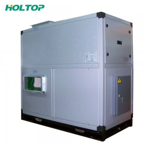 Top Quality Heat Recovery And Ventilation - Industrial TG/D Floor Type Energy Recovery Ventilators – Holtop