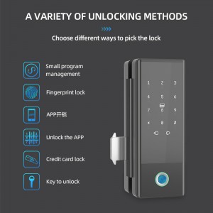 Smart Electronic keyless password+fingerprint+card glass door lock