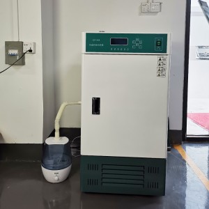 220v 50l portable medical incubator large for lab experiment guangdong