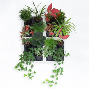 New Design Self-Watering Planter for The Home Artist of Green Wall 4 Pots Wall Planter