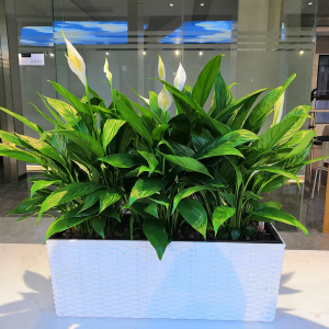 indoor or outdoor gardening supplies wall mounted planter plastic flower pots