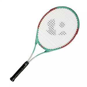 design your own branded mini tennis rackets(pro-t291) Top new brand tennis racket Cover tennis vibration damper