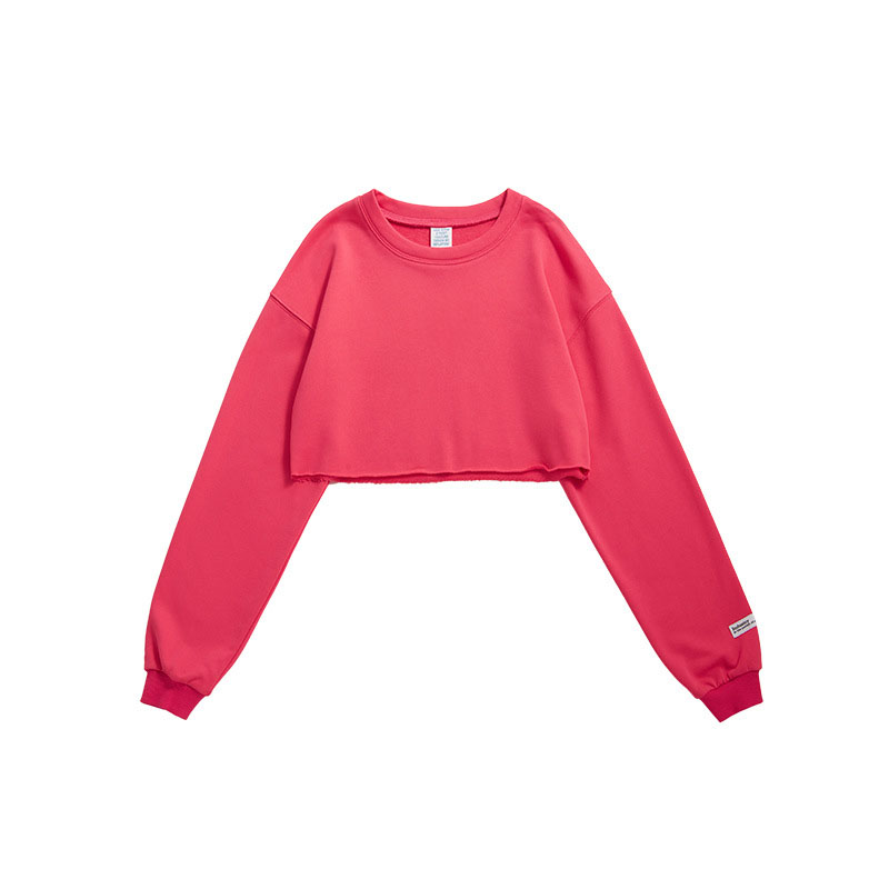 Blank street wear crop top fashion custom embroidery sweatshirts for women