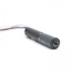Micro 22 mm 0,87 Zoll Getriebe Brushless Motor 24 V 75 RPM mit ROHS CE ISO