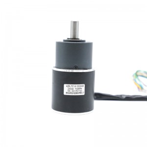 Hot sale 42BLY01A-005AG62 24V wholesale CE ROHS ISO planetary gearbox motor dc gear motor