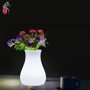 Garden Led Flower Light Pot Foreign Trade Factory Wholesale|Huajun