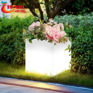 Wholesale Price Outdoor Led Garden Light - LED Decorative Flower Lights With RGB Color Changing | HUAJUN – Huajun