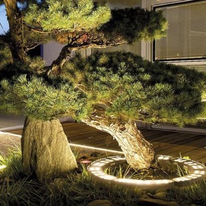 Надворешни водоотпорни LED светла со ленти Декоративна фабричка цена |Huajun