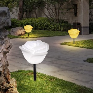 roseTwinkle lights in courtyard preferential price|Huajun