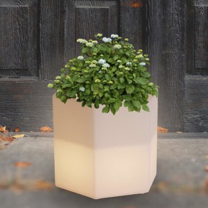 Led Light up Flower Pots Factory Quick Delivery |ՀՈՒԱՋՈՒՆ
