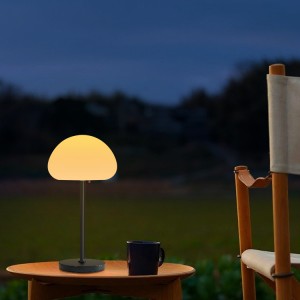 Lampada da tavolo a forma di fungo da cortile giallo caldo 2700k |Huajun