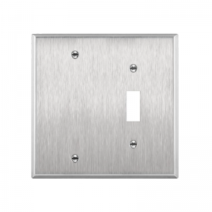 770111 Combination Two Gang Stainless Steel Wallplates