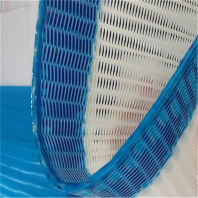 Paper Making Polyester Dryer Screen with Blue or White Color