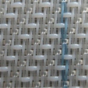 Single Layer Forming Fabric