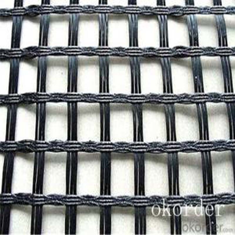 Resistant Pavement Foundation Polyester Geogrid