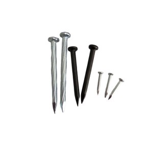 Bottom price U Type Nail - Concrete nails manufacturer / steel nails manufacturer  – Huaxin