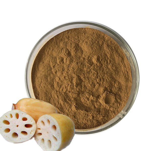 High-Quality-Flavonoids-Lotus-Root-Powder-Extract