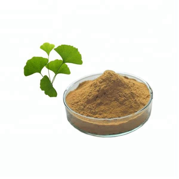 Special Price for Sorbic Acid Price - Ginkgo Biloba Extract – Hugestone Enterprise