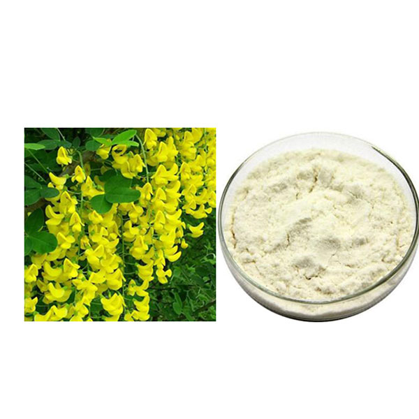 China Cheap price Food Grade Sorbic Acid In White Powder -
 Cytisine – Hugestone Enterprise