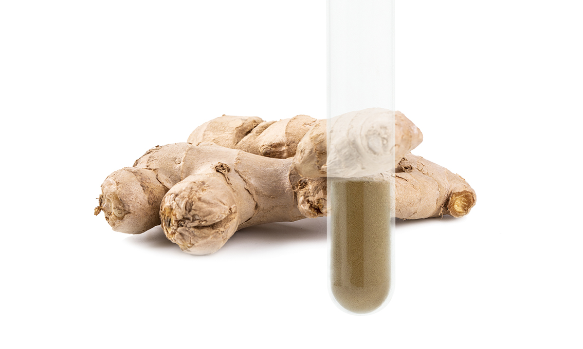 Ginger Extract Featured Image