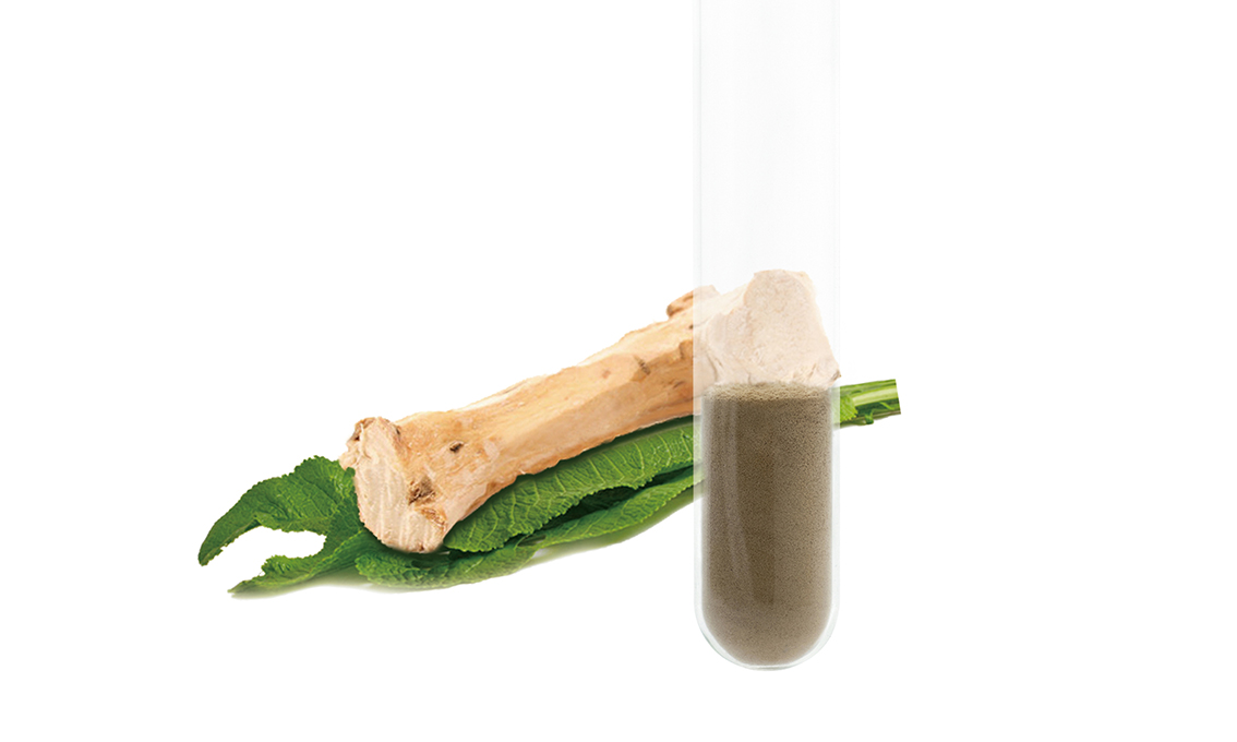 Horseradish Extract