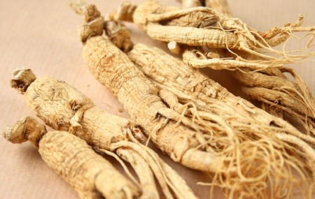Huisong’s Ginseng Extract Joins the Alkem...