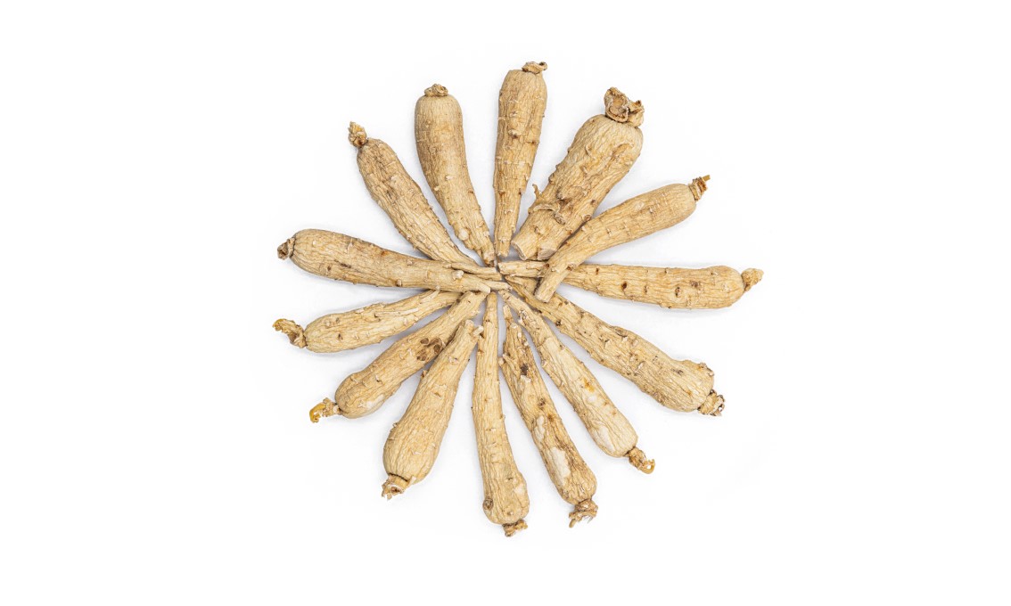 Panax Ginseng Featured Image