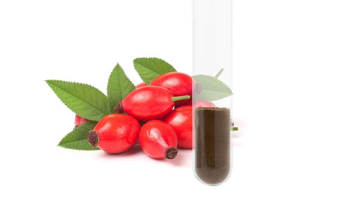 huisong rose hip extract