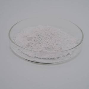 Nano Silver Powder AGP-P025