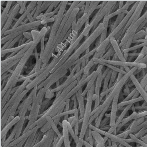 Stříbrné nanorodky Nano Ag Pruty Ag Nano Pruty Nano Stříbrné pruty
