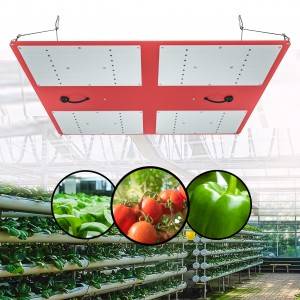 AR-Q4-600 Commercial Herb Grow Samsung Lm301H Hlgh 600W Full Spectrum Led Grow Light For Indoor Plants