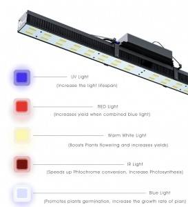18 Years Factory Daylight Led Grow Light - Fluence Design 240w LED Grow Light Bar|Archibald Grow light – Archibald