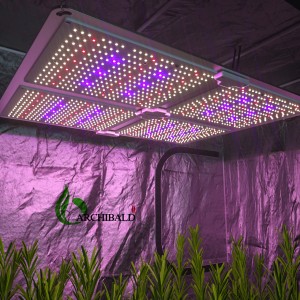 Wholesale Shenzhen Commercial 100W-630W Full Spectrum Hydroponics High Power LED Star Grow Flowers Garden Panel COB Light for Indoor Green House Planting