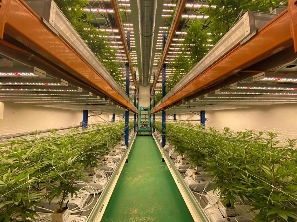 This is an vertical farm in Switzerland, 3 floors of the stand,have 2 rooms,Each room use 36 pcs led grow lights 640W, And the average ppfd of 640W reachs 1002 average PPFD in 6
inch.