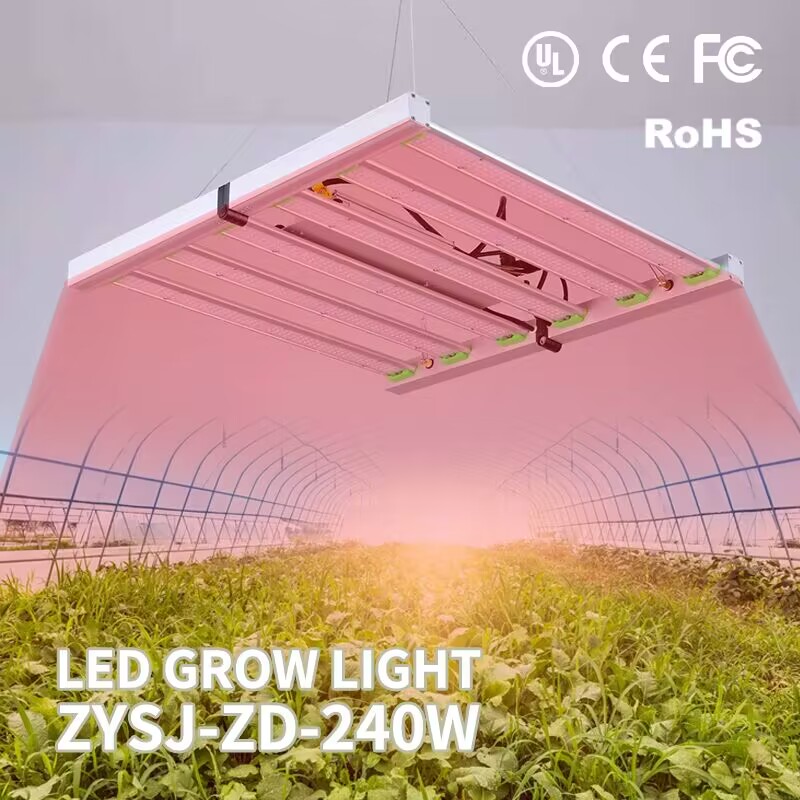 High efficiency 240W grow light Featured Image